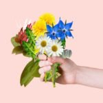 Humans and Flowers