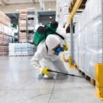 Pest Control Services In Dubai