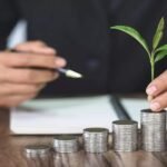 multi-cap fund investment