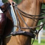 Horse Saddle Matter