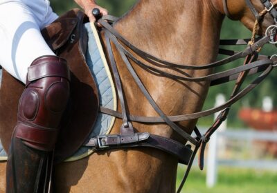 Why The Size Of The Horse Saddle Matter?