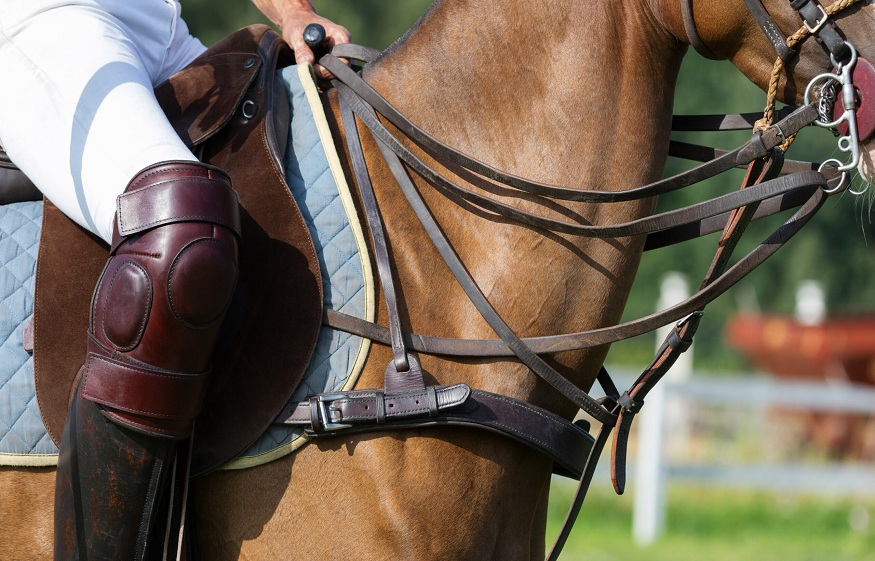 Horse Saddle Matter