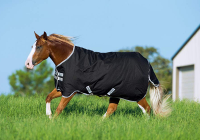 What Is The Purpose Of a Horse Blanket?