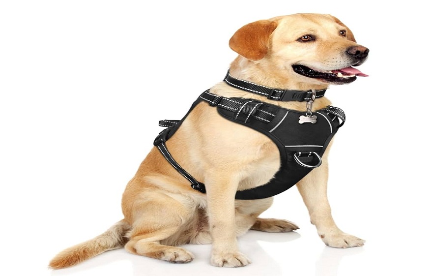 Dog Harness